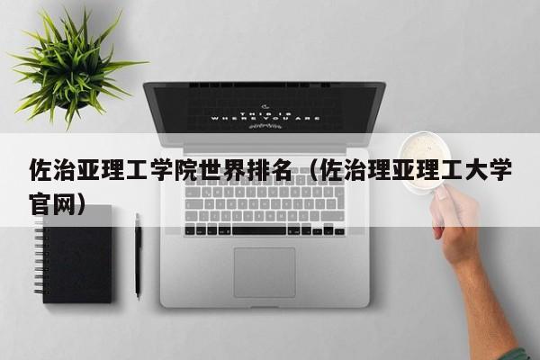 佐治亚理工学院世界排名（佐治理亚理工大学官网）