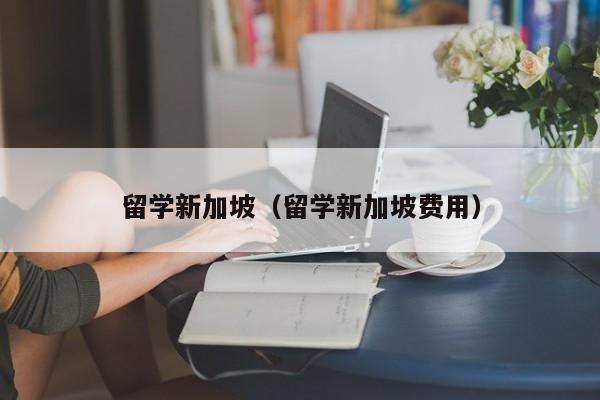 留学新加坡（留学新加坡费用）