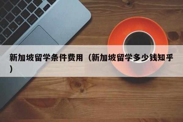 新加坡留学条件费用（新加坡留学多少钱知乎）