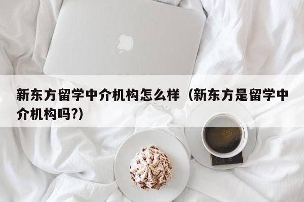 新东方留学中介机构怎么样（新东方是留学中介机构吗?）