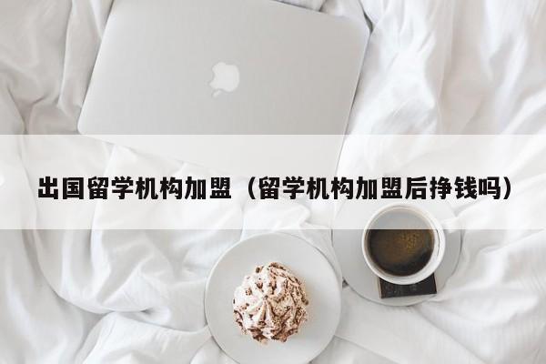 出国留学机构加盟（留学机构加盟后挣钱吗）