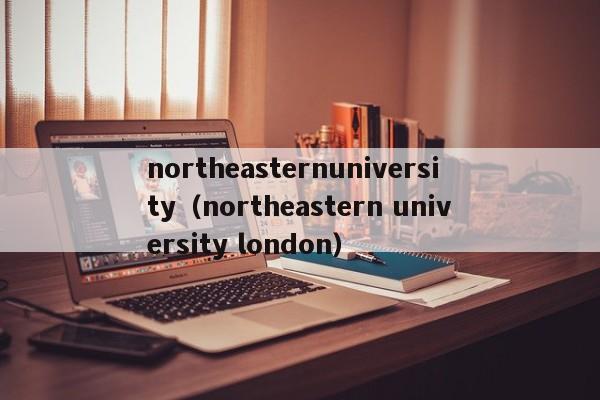 northeasternuniversity（northeastern university london）