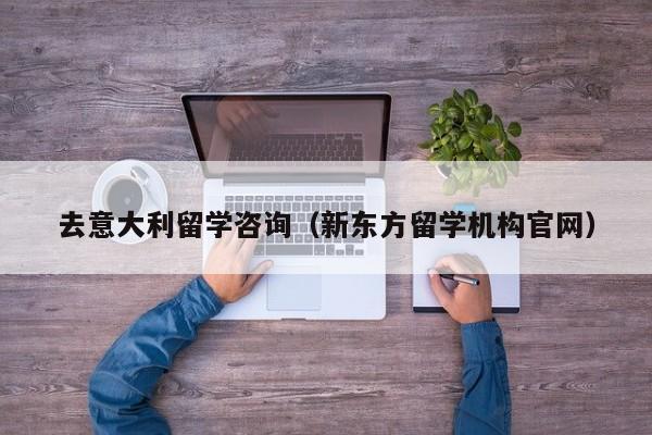 去意大利留学咨询（新东方留学机构官网）