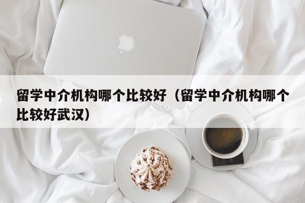 留学中介机构哪个比较好（留学中介机构哪个比较好武汉）