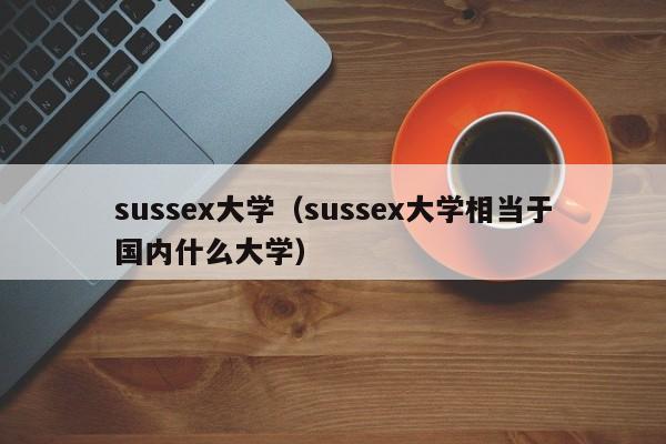 sussex大学（sussex大学相当于国内什么大学）