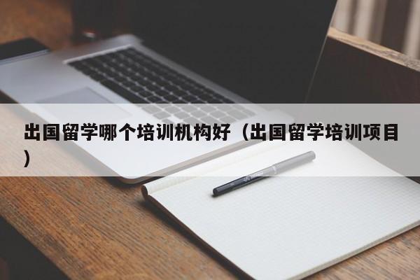 出国留学哪个培训机构好（出国留学培训项目）