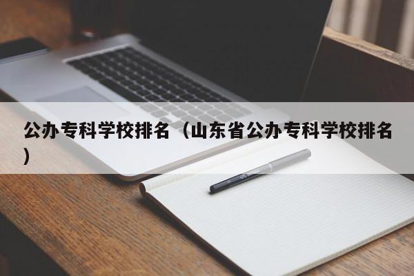 公办专科学校排名（山东省公办专科学校排名）