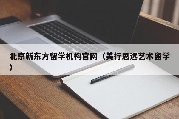 北京新东方留学机构官网（美行思远艺术留学）