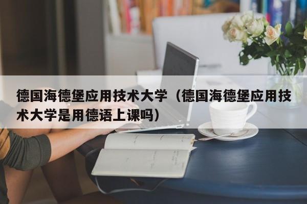 德国海德堡应用技术大学（德国海德堡应用技术大学是用德语上课吗）