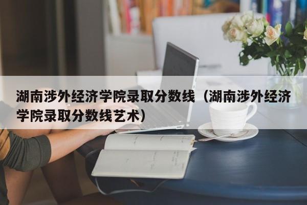 湖南涉外经济学院录取分数线（湖南涉外经济学院录取分数线艺术）