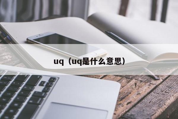 uq（uq是什么意思）