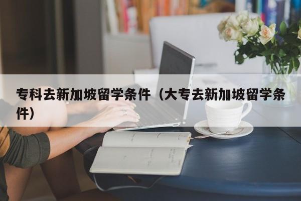 专科去新加坡留学条件（大专去新加坡留学条件）