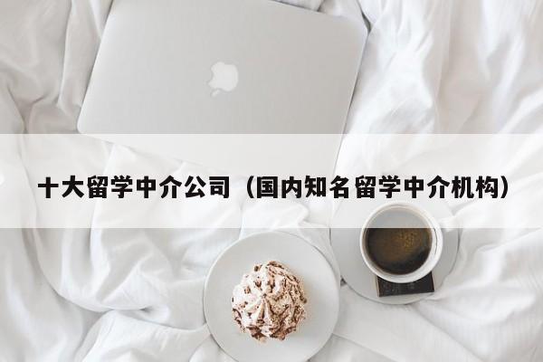 十大留学中介公司（国内知名留学中介机构）