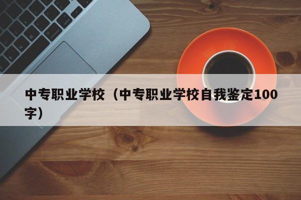 中专职业学校（中专职业学校自我鉴定100字）