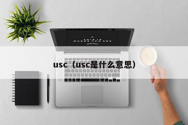 usc（usc是什么意思）