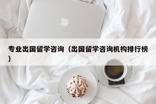 专业出国留学咨询（出国留学咨询机构排行榜）