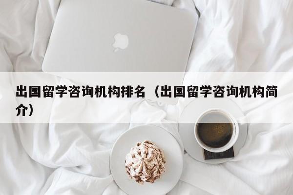 出国留学咨询机构排名（出国留学咨询机构简介）