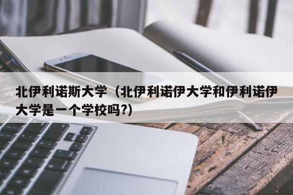 北伊利诺斯大学（北伊利诺伊大学和伊利诺伊大学是一个学校吗?）