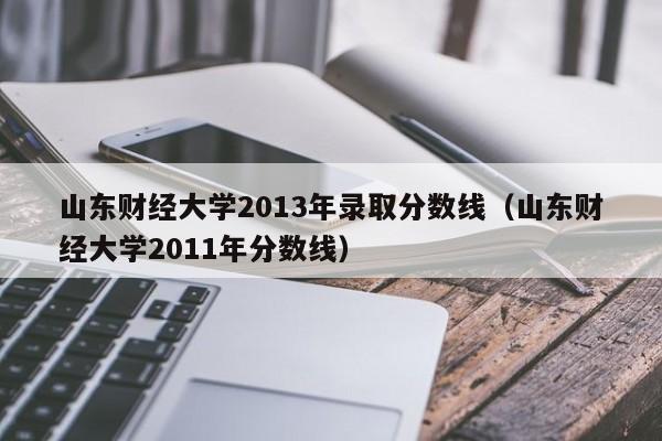 山东财经大学2013年录取分数线（山东财经大学2011年分数线）