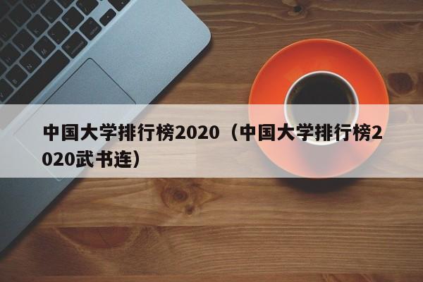 中国大学排行榜2020（中国大学排行榜2020武书连）