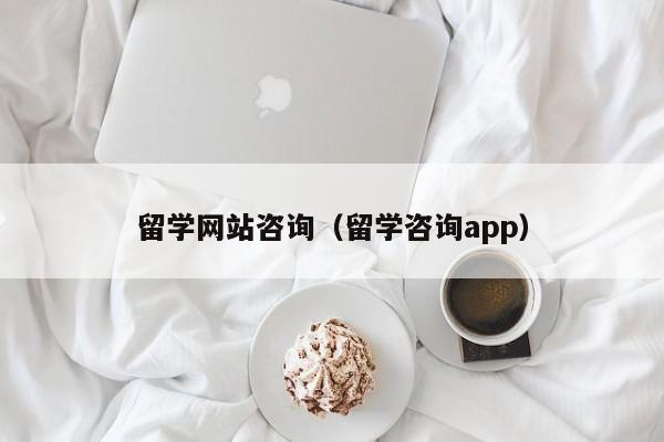 留学网站咨询（留学咨询app）