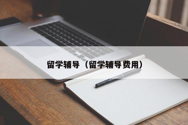 留学辅导（留学辅导费用）