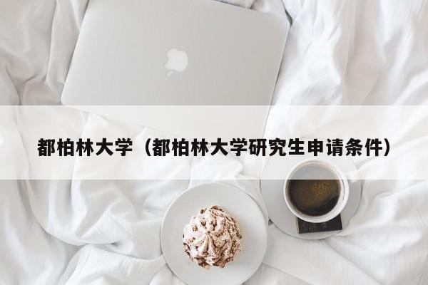 都柏林大学（都柏林大学研究生申请条件）